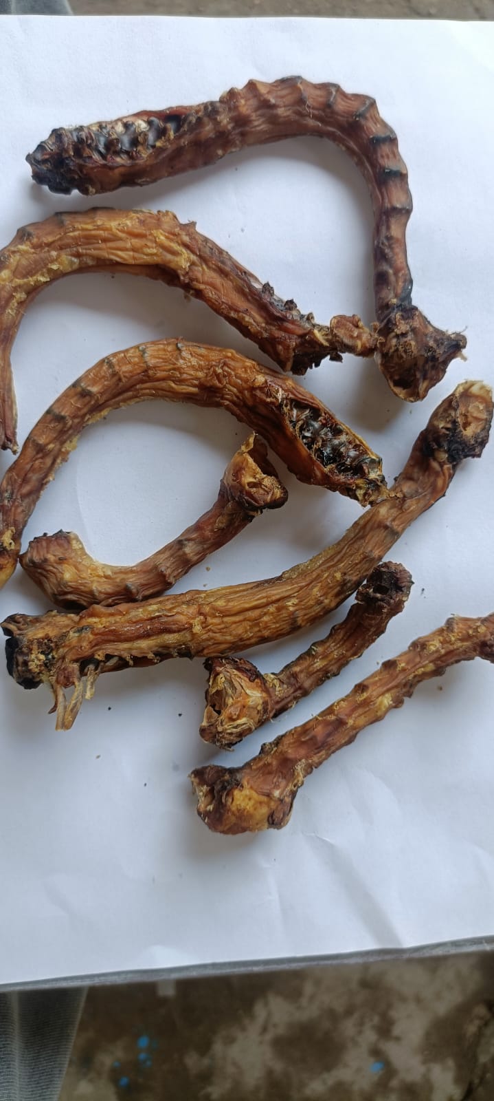 Chicken Neck