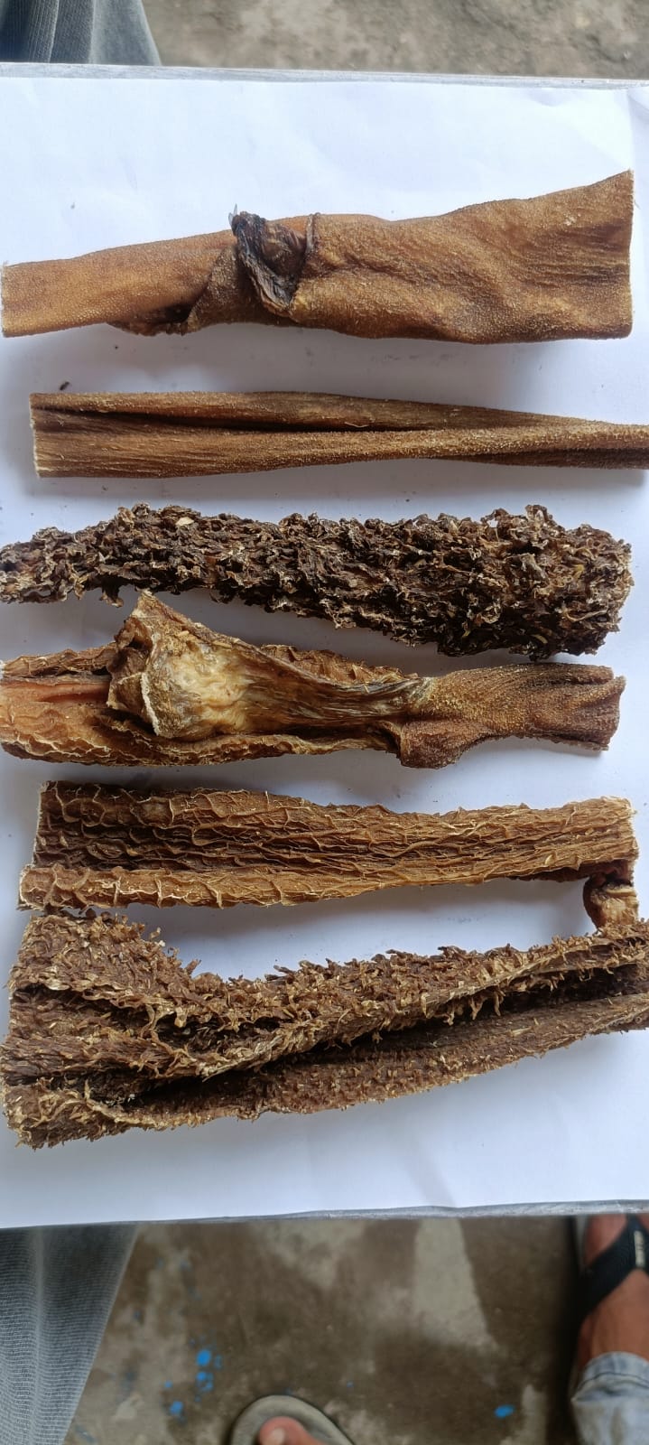 Buffalo Tripe